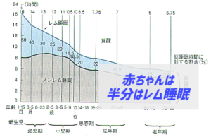 新生児期のレム睡眠とノンレム睡眠の割合