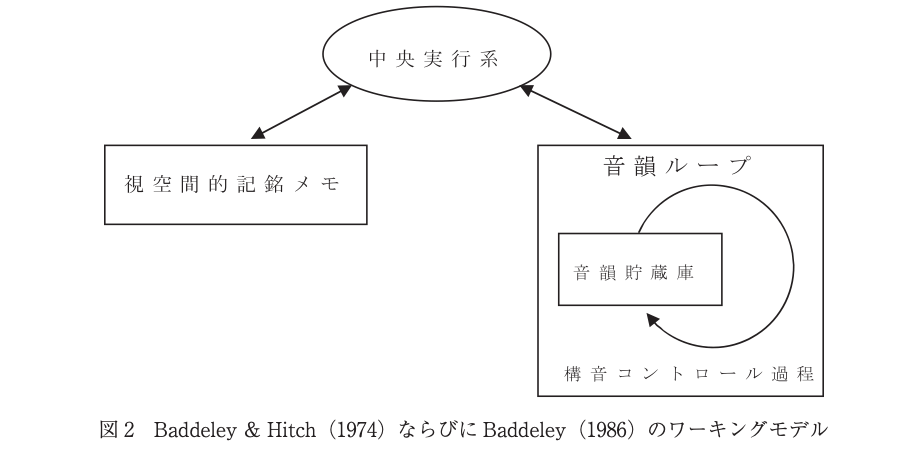ワーキングメモリと諸要因の関係図