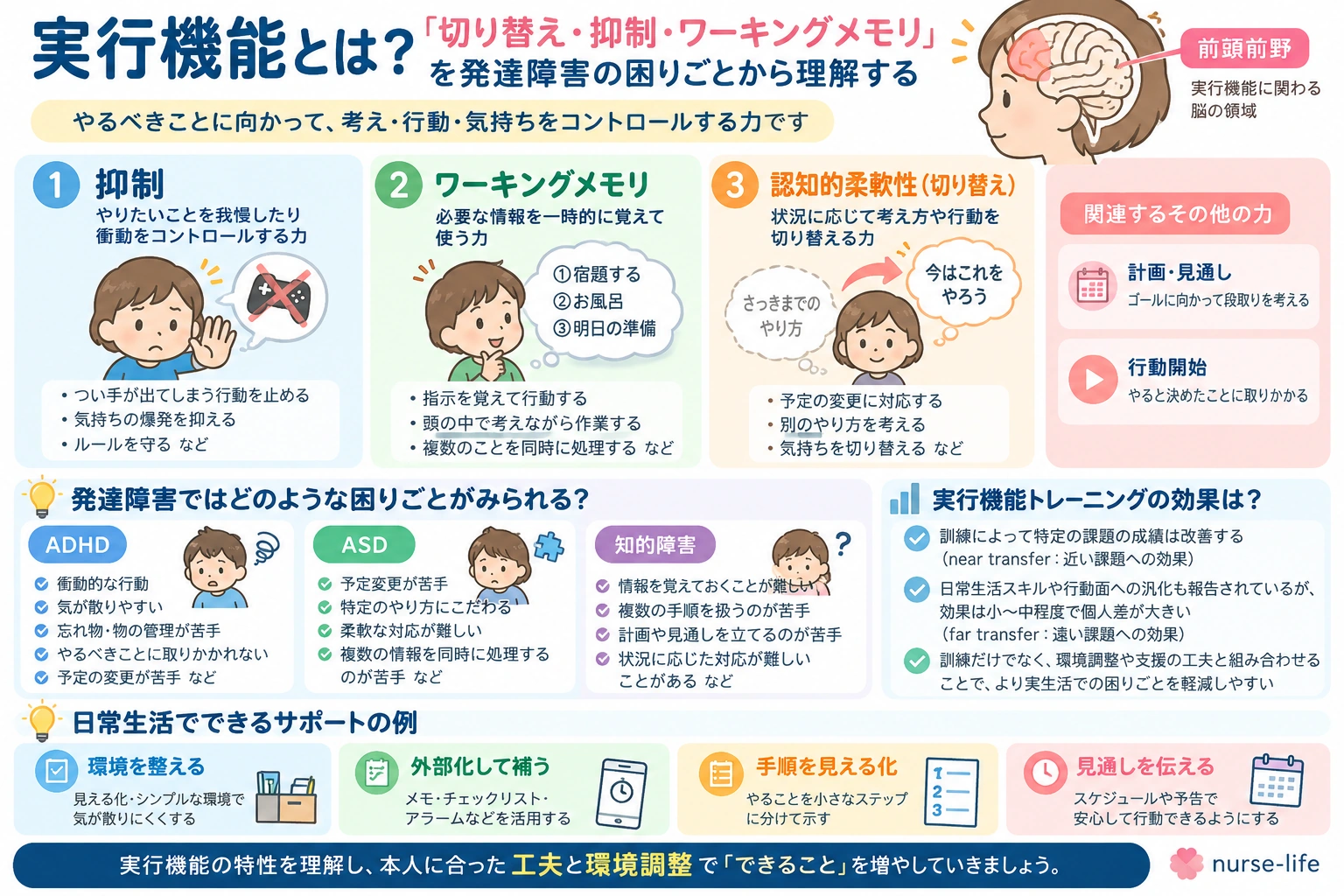 実行機能の3つの中核要素、発達障害で見られる困りごと、トレーニングの考え方、日常生活での支援例をまとめた記事要約インフォグラフィック